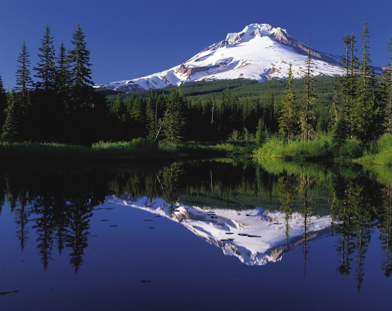 Ultimate Guide to Planning Your Mt Hood Vacation