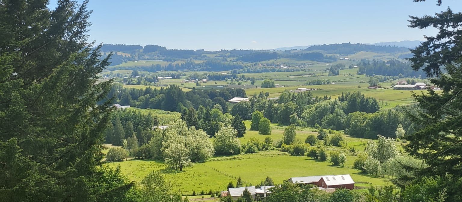 Ultimate Guide to Newberg, Oregon: Your Wine Country Getaway