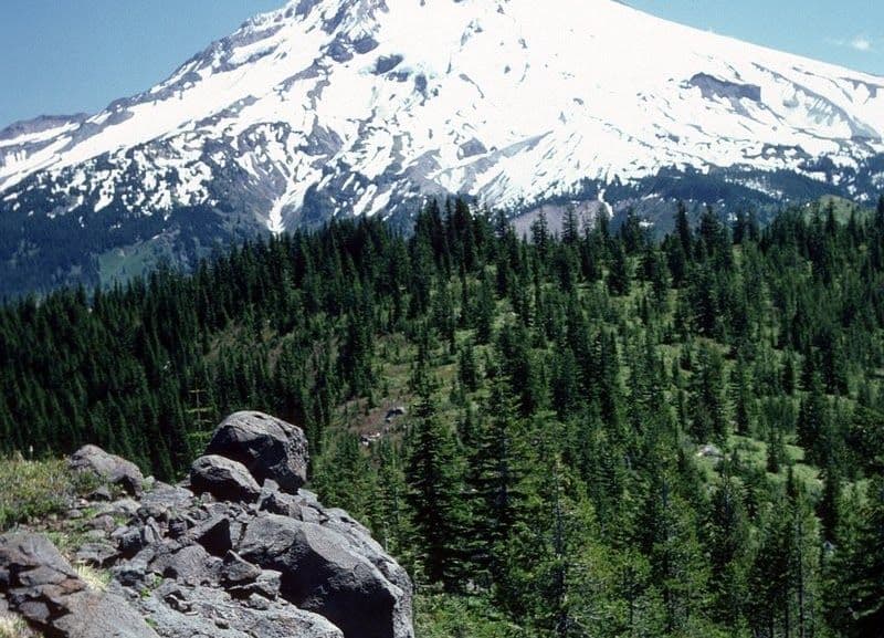 Discover the Best Hiking Trails with Stunning Views on Mt. Hood
