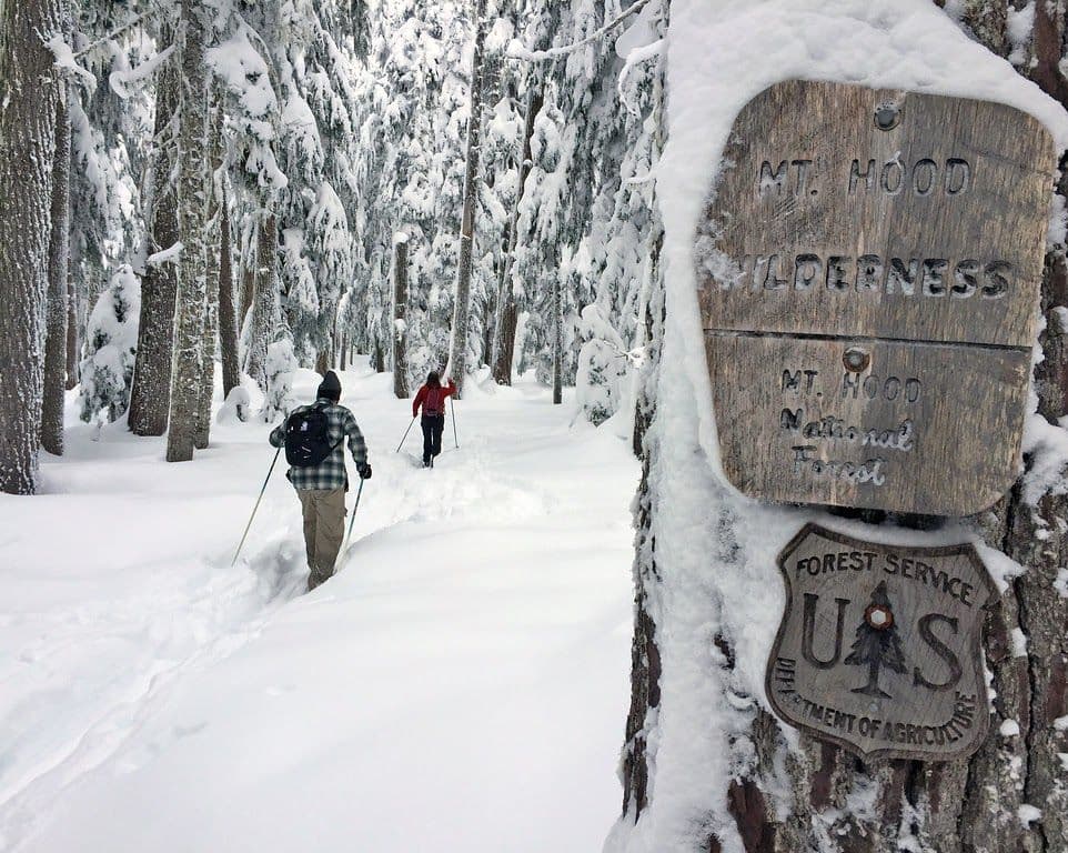 Snowshoeing on Mt. Hood: The Ultimate Winter Adventure